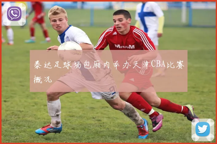 泰达足球场包厢内举办天津CBA比赛概况